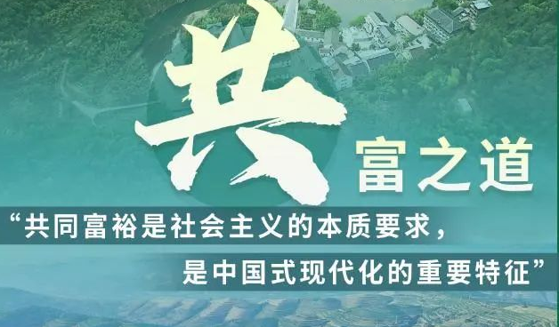 可持续经济发展是实现共同富裕的一个前提